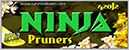 Copy of Ninja box front 4