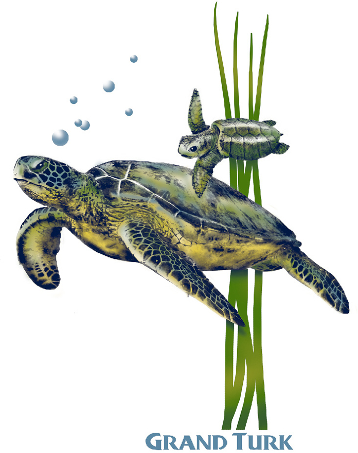 Turtle mom