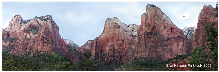 Zion-pan-print