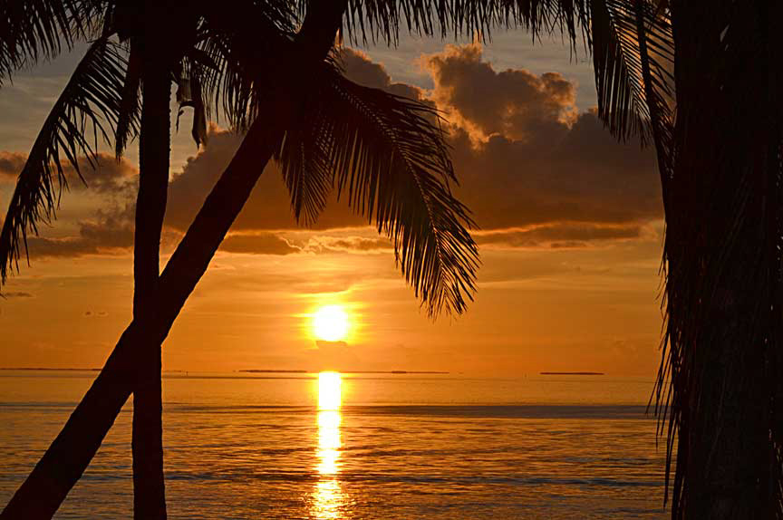 Keys-Palms