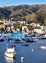Avalon