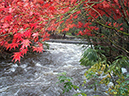 Gatlinburg-river