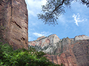 Zion-097-SM