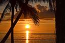 Keys-Palms