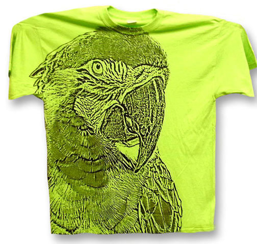 Big-Parrot