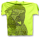Big-Parrot